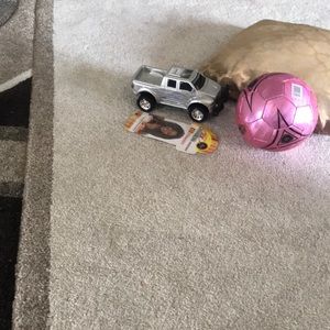 Meet your Posher, Lilian